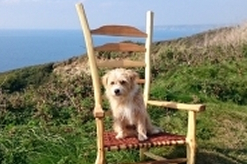 driftwood furniture cornwall